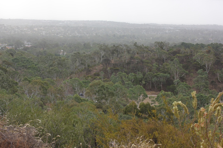 Wednesday Loop, Anstey Hill Recreation Park, South Australia