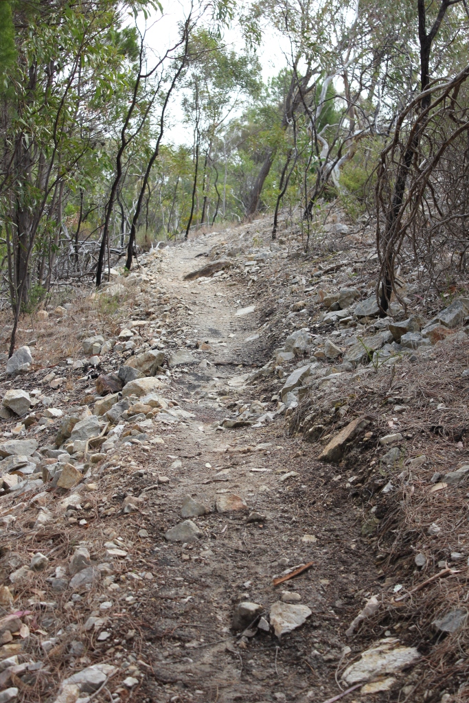 Wednesday Loop Anstey Hill Recreation Park. Rocky trail.