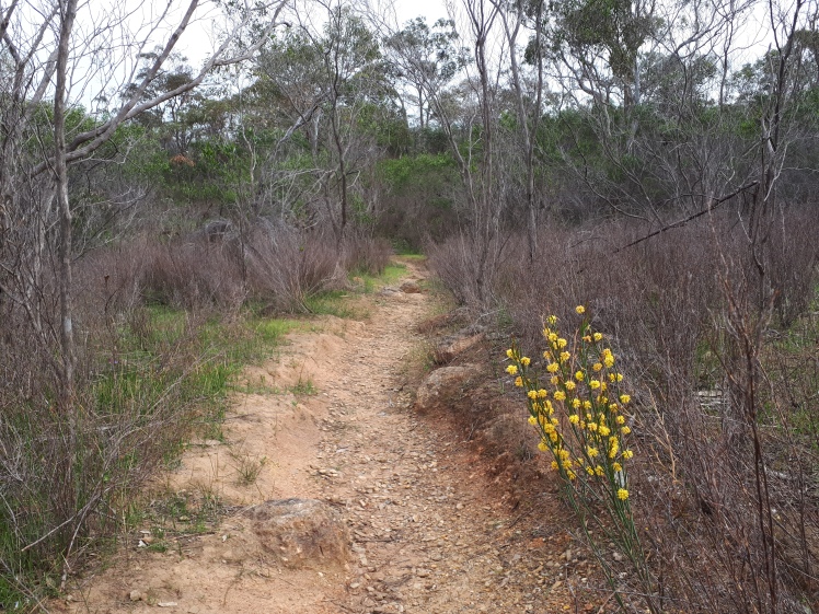 Easy family walking trails Para Wirra Conservation Park