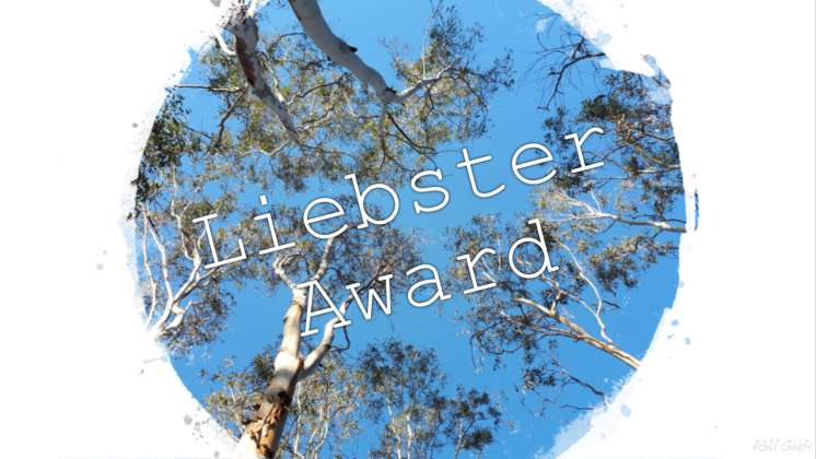 Liebster Award Learning To Love Winter Blog